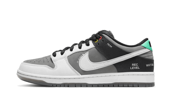 Restock Nike SB Dunk Low VX1000 Camcorder